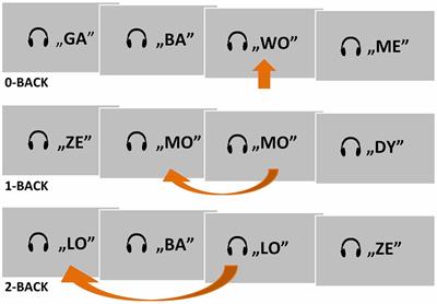 Maintenance vs. Manipulation in Auditory Verbal Working Memory in the Elderly: New Insights Based on Temporal Dynamics of Information Processing in the Millisecond Time Range